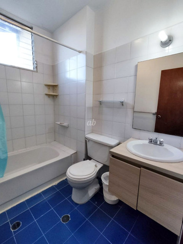 Imagen 7 de 10 de Alquiler Vacacional Apartamento En Puerto Aventura Lechería