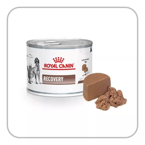 Alimento Royal Canin Veterinary Diet Canine Recovery para cão