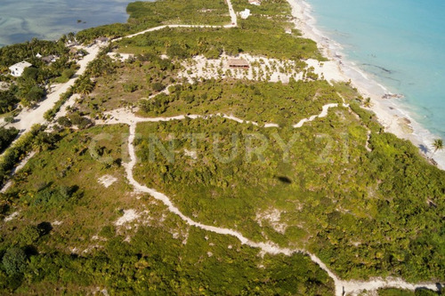 Imagen 16 de 22 de Terreno Con Hermosa Playa Para Desarrolladores En Isla Blanca Cancún C2509