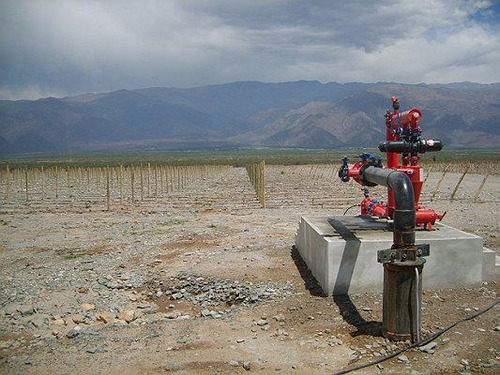 Imagen 4 de 10 de Campo Apto Para Viñedo En Venta - Tolombón, Salta