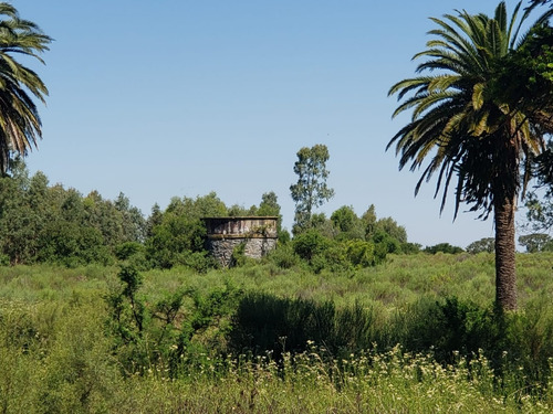 Imagen 5 de 5 de Chacra En Venta En Colonia Sobre Ruta 1