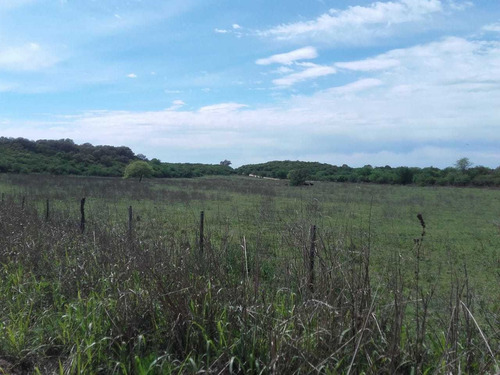 Imagen 7 de 8 de Campo En Alquiler La Granja Córdoba