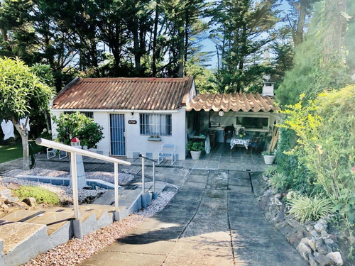 Venta Casa Punta Del Este Pinares