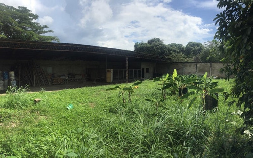 Imagen 3 de 7 de Galpón En Venta En Urb . Los Laureles San Juan De Los Morros