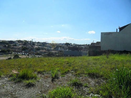 Terreno A Venda No Bairro Uberaba Em Curitiba - Pr. - 5664-1