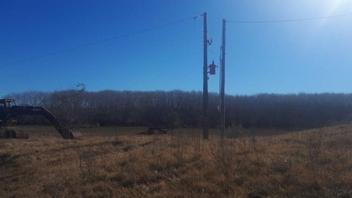 Imagen 5 de 10 de Campo En Venta En Ibicuy