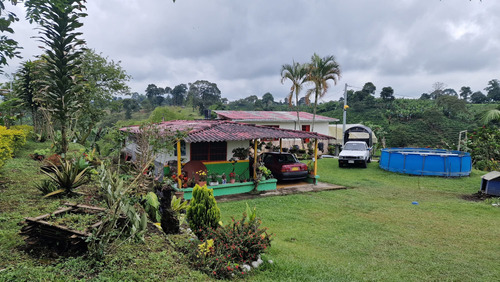 Se Vende Finca 8 Cuadras En Quimbaya