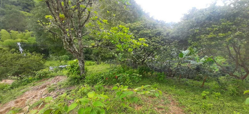 Imagen 28 de 30 de Se Vende Finca 109 Cuadras. Córdoba