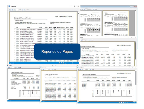 Software Registra Pagos De Colegiaturas, Gestión De Cobranza