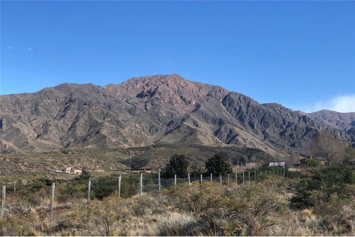 Imagen 4 de 14 de Lote En La Crucesita