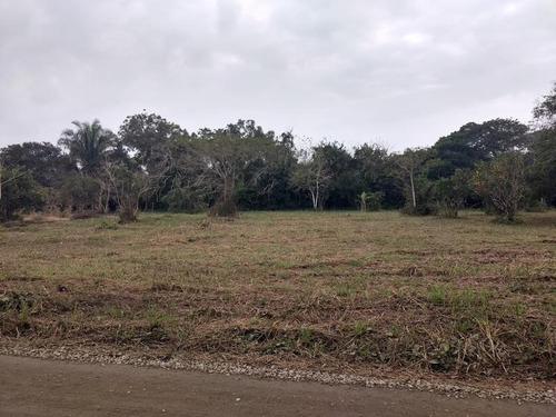 Vendo Terreno 2412 M² Isla De Juana Moza Tuxpan Veracruz
