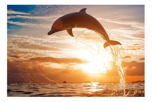 Vinilo 40x60cm Delfines Delfin Saltando Mar Soleado
