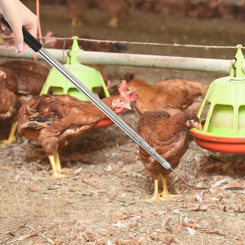 Gancho Para Patas De Pollo Con Mango Largo, Ideal Para Pavos