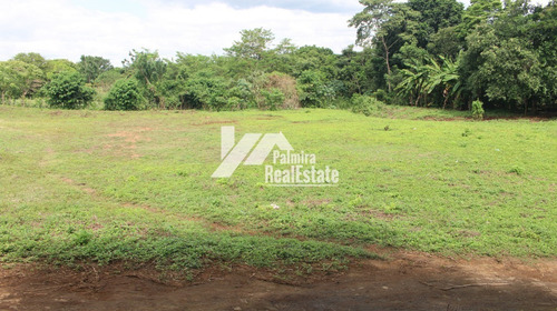 Imagen 5 de 5 de Venta De Terrenos En Masaya
