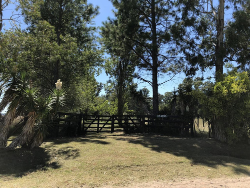 Imagen 1 de 12 de Campo En Venta En La Plata Ruta 215 Dacal Bienes Raices