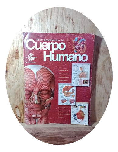 Álbum Enciclopédico Del Cuerpo Humano El Diario El Universal