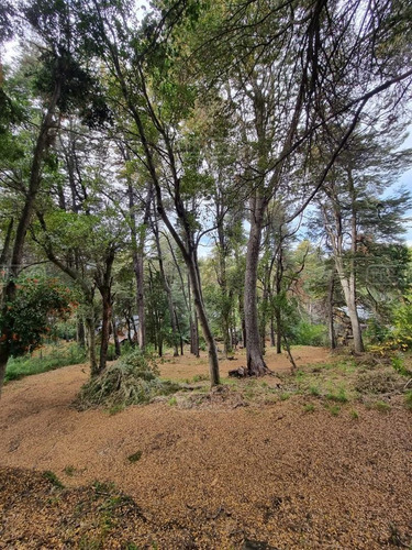 Imagen 5 de 24 de Terreno Lote En Venta Ubicado En Valle Escondido, Bariloche, Patagonia
