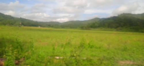 Imagen 4 de 30 de Finca En Guigue, 35 Hectareas. 5610462