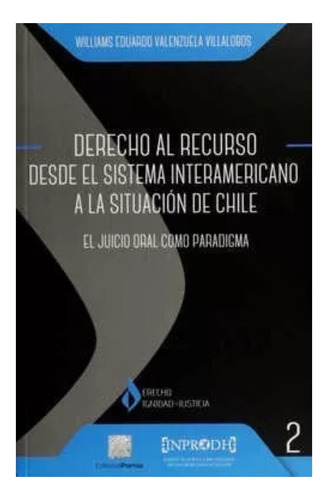 Libro Derecho Al Recurso Desde El Sistema Interamericano