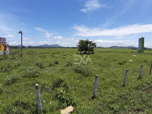 Imagem 13 de 25 de Terreno A Venda Na Br 101, Cidade De Penha (sc) - Exa Imóveis. - 0915