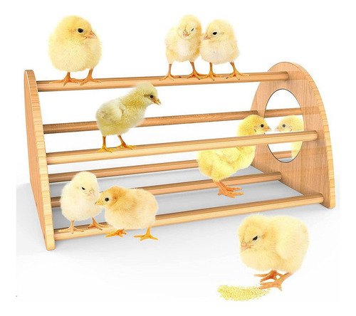 Gallinero De BambĂș Con Espejo, Resistente Barra Para Dormir