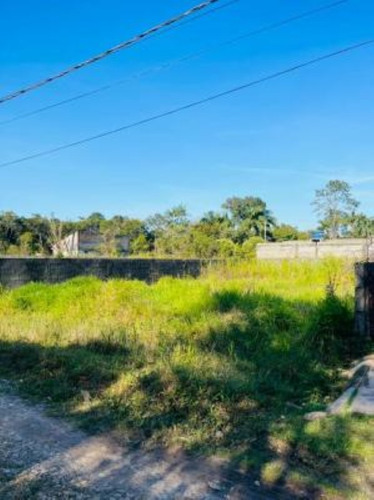 Imagem 3 de 4 de Terreno No Bairro Palmeiras, Em Itanhaém=referência: 8472