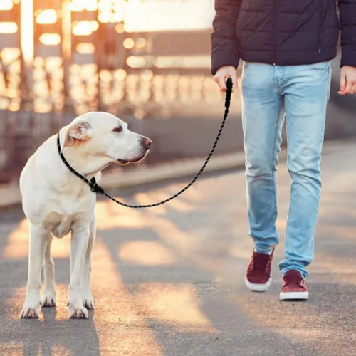 Correas Para Perro Grande Nylon P/ Entrenamiento Resistente