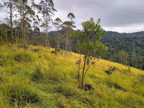 Área 94.252,82 M² Para Incorporação E Empreendimentos De Moradias Populares, Oportunidade Investidores/constutores - Te0012