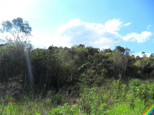 Imagem 10 de 11 de Terreno Lote Para Venda Em Centro Mandirituba-pr - 5702