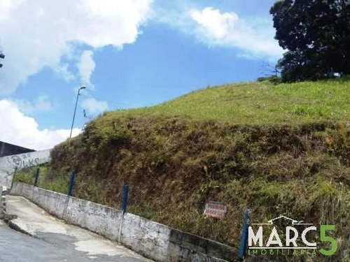 Imagem 3 de 5 de Terreno - Jardim Das Cerejeiras - 1737