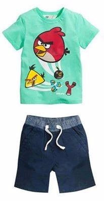 Conjunto Roupa Menino Regata Camiseta Angry Birds 3 Anos