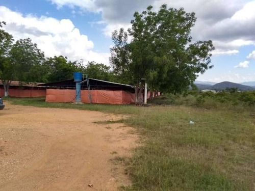 Imagen 14 de 30 de Jose Lopez Ofrece Finca ( Granja Avícola / Agrícola ) En Venta Vía A Duaca Caserio Guayabal Cordero Lara, Venezuela ,j G L Rent - A - House Telf. 0414-5533925 Cod # 22-16836 $ 15000