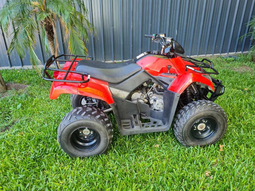 Arctic Cat 300 300 Parrillero