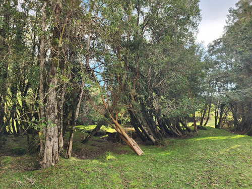 Terreno Orilla Rio Maullin Y Ruta V60 Ideal Pesca Inversion