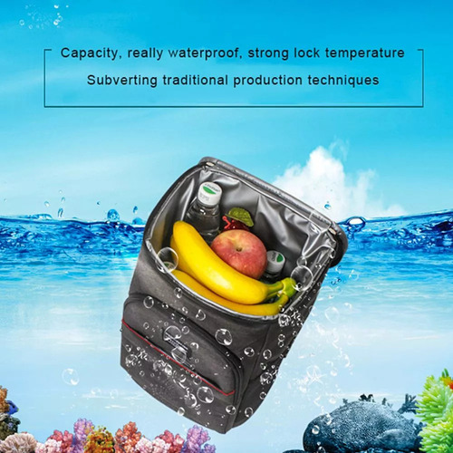 Mochila Isolada Ombro Duplo Ice Bag