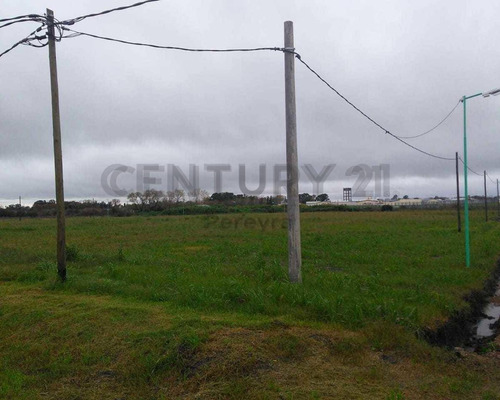 Imagen 17 de 22 de 148 Y 486. Lote En Venta En Fincas Gorina.-