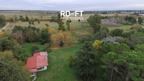 Imagen 5 de 22 de Casa Quinta En Venta De 20000m2 Ubicado En Pedro Luro