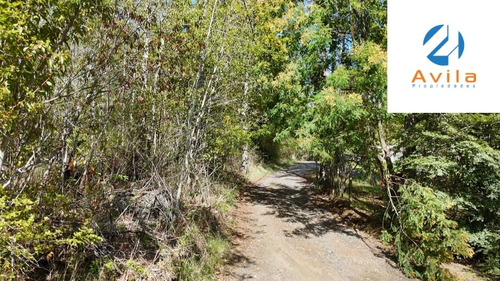 Pucón Villarrica Parcela En Candelaria 1 Ha. Cod.vtap188