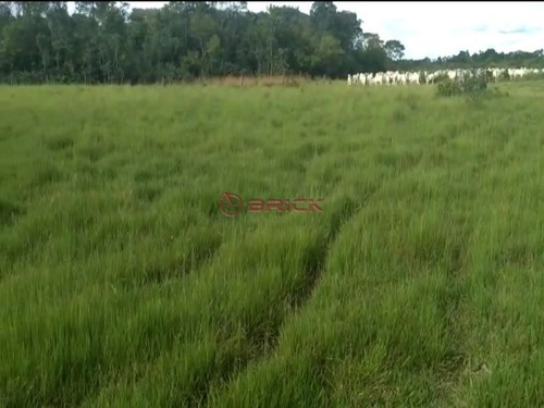 Imagem 2 de 9 de Fazenda Com 1.076,40 Hectares Na Região Duere, Tocantins. - Fa00023 - 69448240