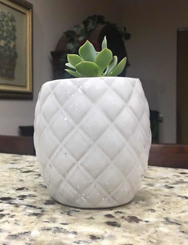 Maceta Cerámica Minimalista Piña