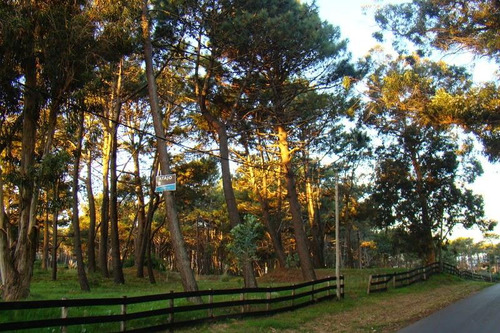 Gran Terreno En Venta Altos De La Barra Tm48843