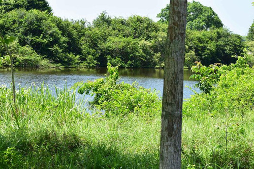 Venta Rancho Ganadero 1229 Hectáreas Tuxpan Veracruz.