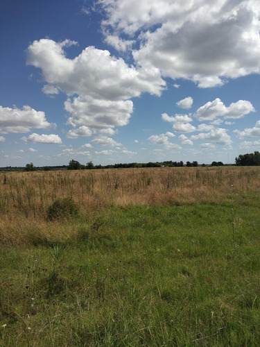 Vendo 3 Has Linda Zona Campo Alto Buena Vista Consulte!!!!!