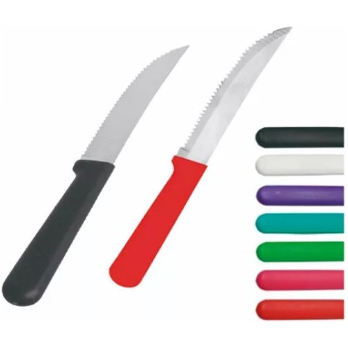 Cuchillo Mesa Carol X12 Acero Inoxidable Plastico Colores