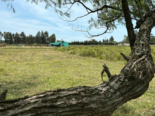 Chara En Venta 5 Hectáreas A Minutos De Atlántida.  