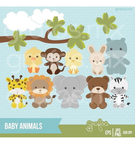 6 Packs De Imágenes Animalitos Selva Bosque Bebés