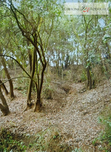 Sitio En Venta En Las Gaviotas, Concón