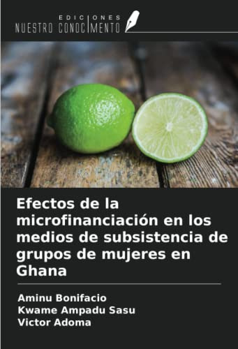 Efectos De La Microfinanciacion En Los Medios De Subsistenci
