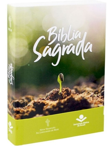 Bíblia Barata Para Evangelizar Caixa Com 32 Unidades