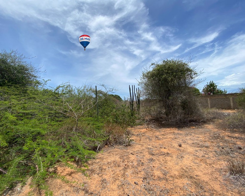 Re/max 2 Mil Vende Excepcional Lote De Terreno De 500 Mts Cuadrados, Ubicado Estratégicamente Junto A La Prestigiosa Urbanización La Llovizna, En Venta En El Sector El Hato, Municipio Arismendi
